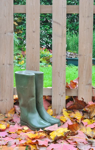 Rubber boots on leaves — Stock Photo, Image