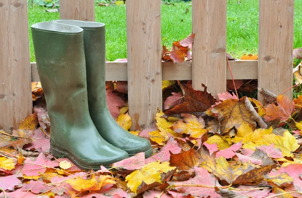 Rubber boots on leaves — Stock Photo, Image