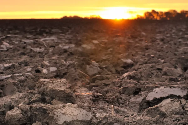 Terrenos agrícolas ao entardecer — Fotografia de Stock