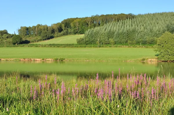 Krajobraz Morvan (Francja) — Zdjęcie stockowe