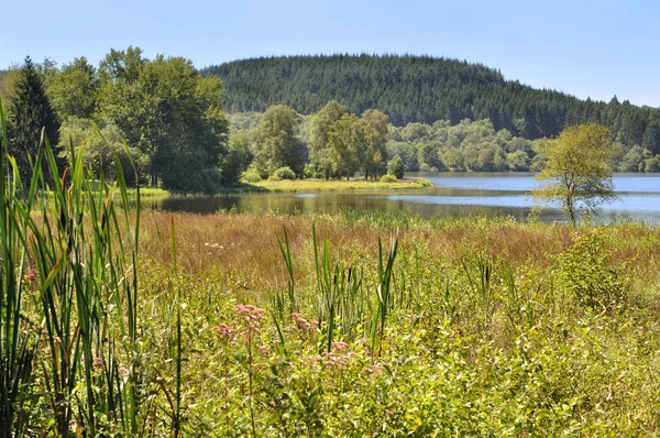 Torfowisk Morvan (Francja) — Zdjęcie stockowe