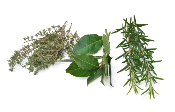 Rosemary, thyme and bay leaves — Stock Photo, Image