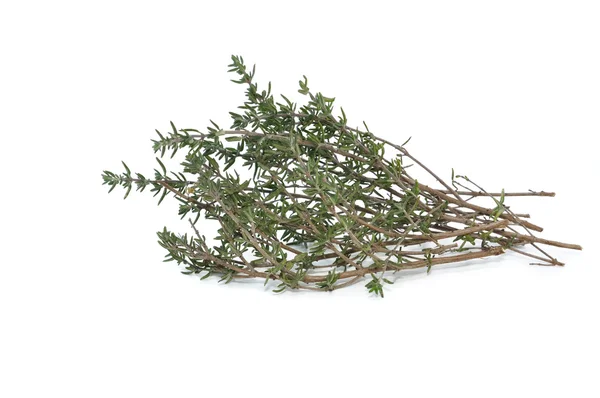 Bunch of fresh thyme — Stock Photo, Image