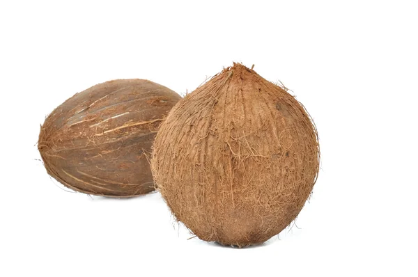 Kokosnöt på vit bakgrund — Stockfoto