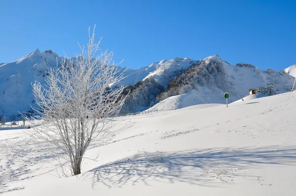 Bir kayak merkezinde kışın dağ manzarası — Stok fotoğraf