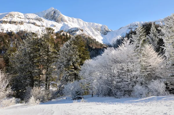 Landscape of the Massif Central in winter — Stock Photo, Image