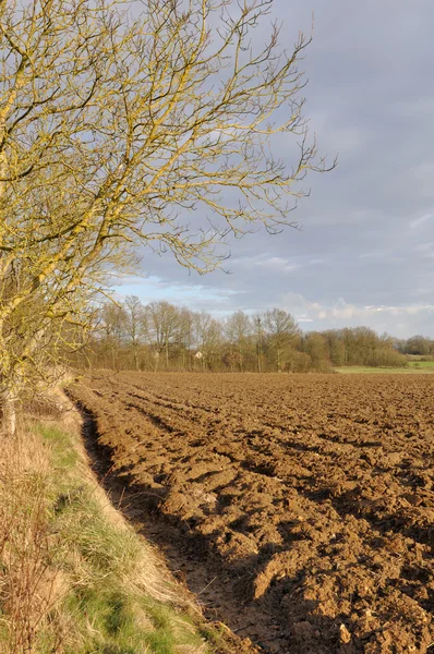 Plowed land — Stock Photo, Image