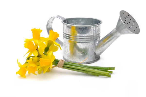 Buquê de Daffodils — Fotografia de Stock