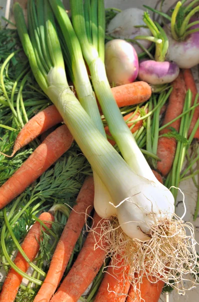 Garden vegetables — Stock Photo, Image