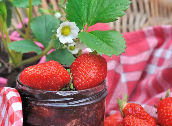 Strawberries for jam — Stock Photo, Image