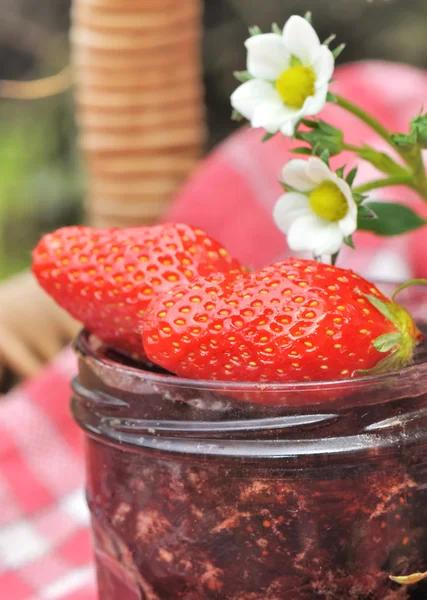 Tasty strawberries for jam — Stock Photo, Image