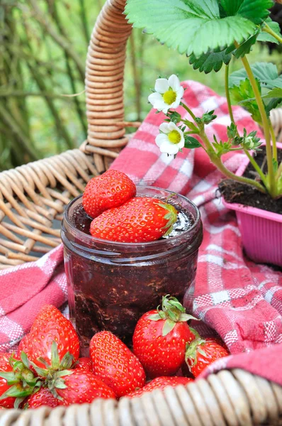 Strawberries for jam — Stock Photo, Image