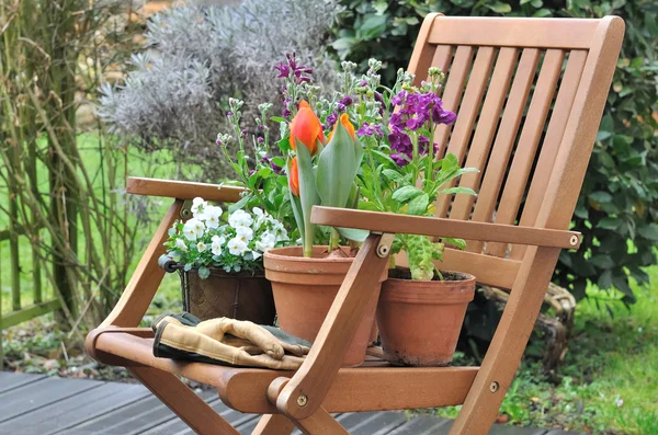 Wiosenne kwiaty na krześle — Zdjęcie stockowe