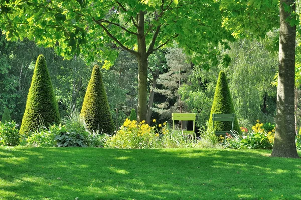 Groene tuin — Stockfoto