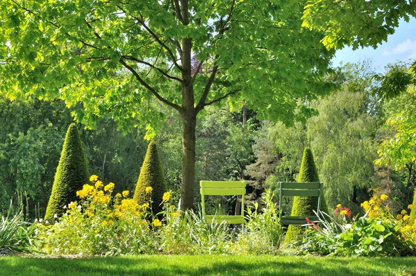 Jardín verde — Foto de Stock