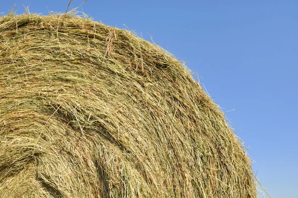 Primer plano sobre la paca de paja — Foto de Stock