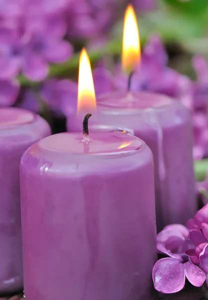Lila svíčky — Stock fotografie
