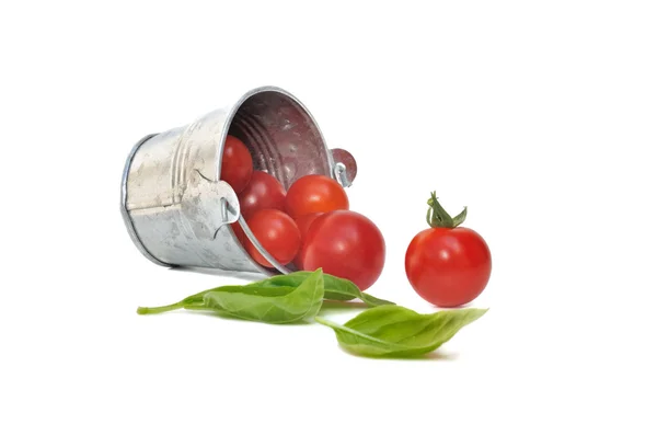 Cherry tomatoes with basilic — Stock Photo, Image