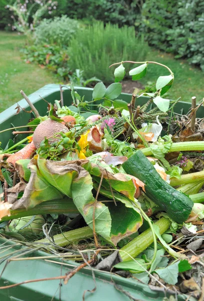 Green wastes — Stock Photo, Image