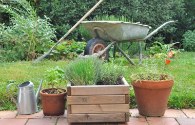 Tencere farklı otlar