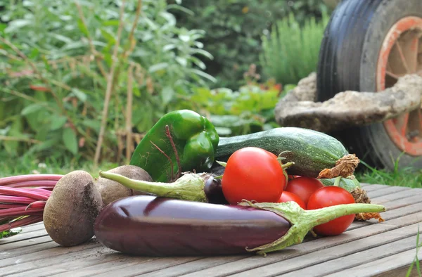 新鲜蔬菜在花园中 — 图库照片