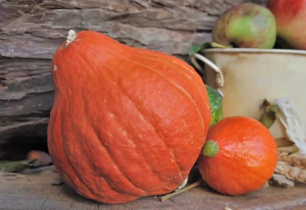 Pumpkins and fall fruits — Stock Photo, Image
