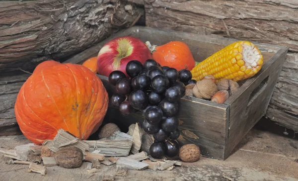 Caduta frutta e verdura — Foto Stock