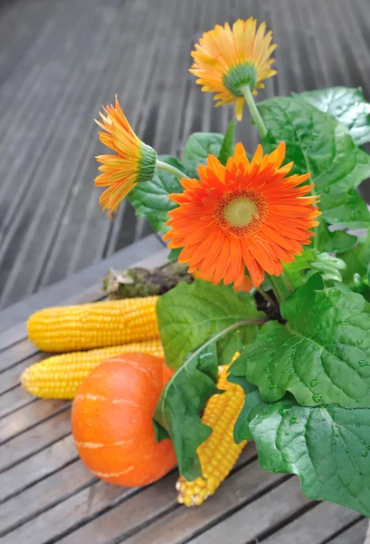 Bunte Blumen und Gemüse — Stockfoto