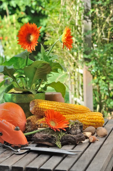 Цветы и овощи, помещенные в сад после сбора — стоковое фото