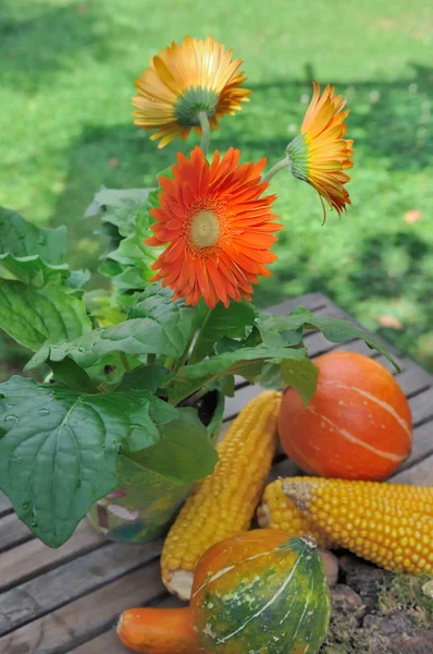 Bunte Blumen und Gemüse — Stockfoto