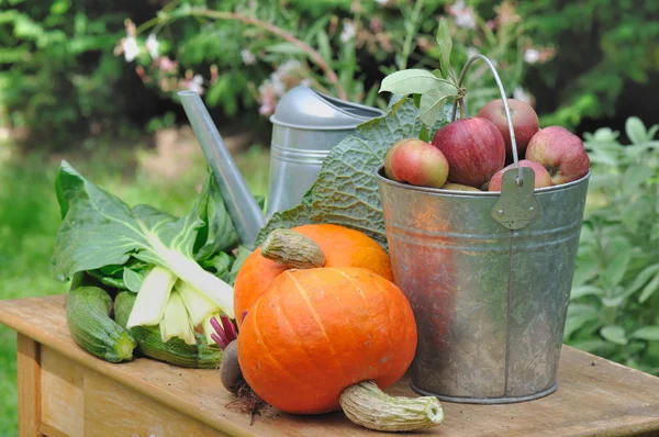 Seasonal vegetables and apples — Stock Photo, Image