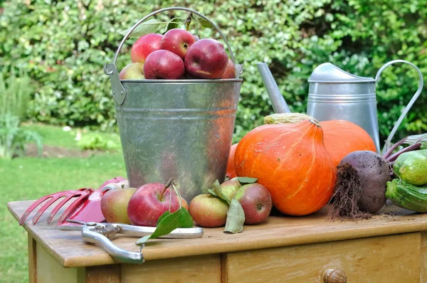 Äpfel und Kürbis aus dem Garten — Stockfoto