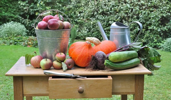 Sæsonbestemte grøntsager og æbler - Stock-foto