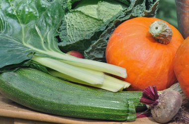 yeşil sebzeler ve squash