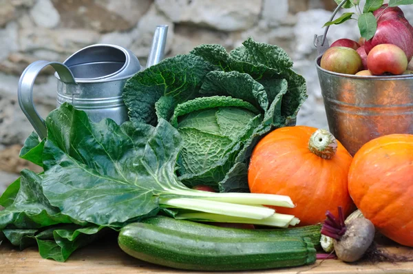 Gemüse und Obst der Saison und rustikal — Stockfoto