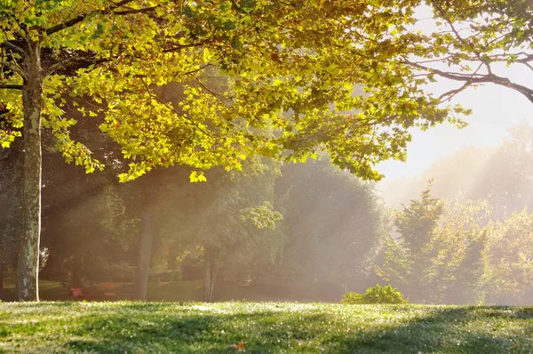 Herfstblad — Stockfoto