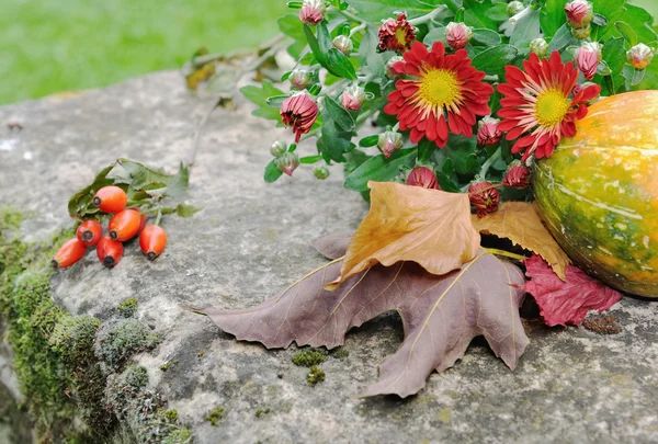 Kasımpatı çiçekleri ve düşen yapraklar — Stok fotoğraf