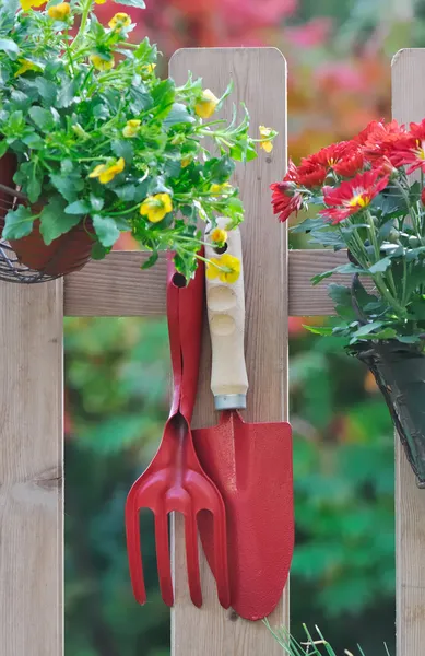 Flores e ferramentas outonais — Fotografia de Stock