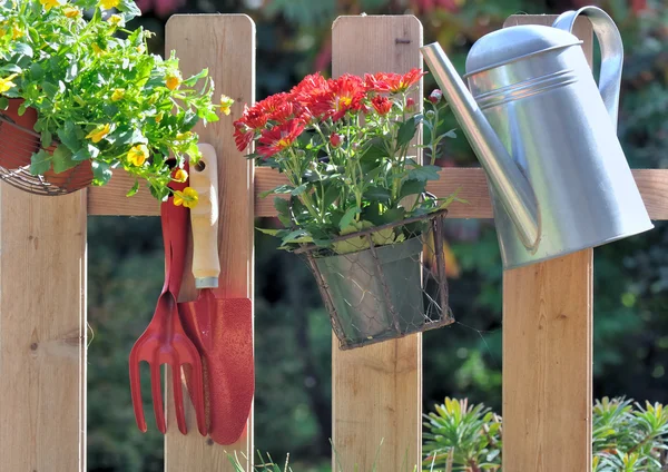 Autumnal flowers and gardening accessories — Stock Photo, Image