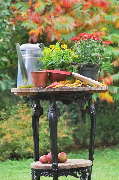 Vasi di fiori autunno — Foto Stock