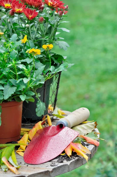 Strumento di giardinaggio — Foto Stock