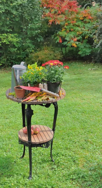 Table de jardinage pour la mise en pot — Photo