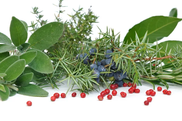 Various herbs — Stock Photo, Image