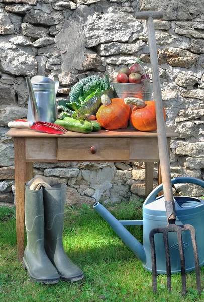 Bir tabloda çeşitli sebzeler — Stok fotoğraf