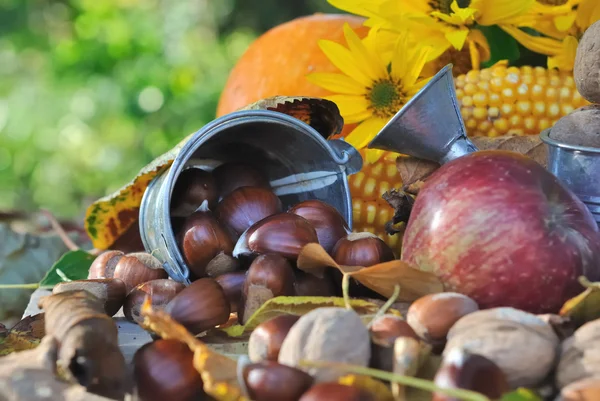 Kastanien und andere saisonale Früchte — Stockfoto