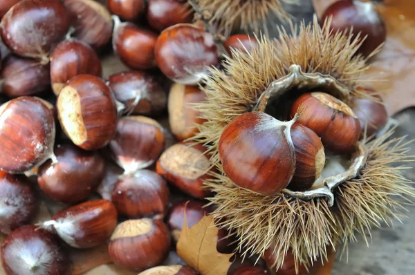 Close on chestnuts — Stock Photo, Image