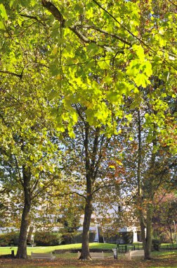 residentiel Bahçe şehir