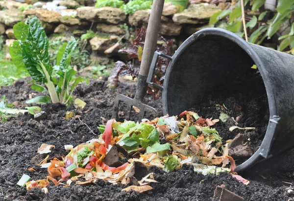 Plantaardige schillen voor compost Stockfoto