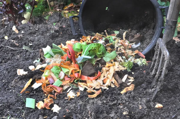 Plantaardige schillen voor compost Stockfoto