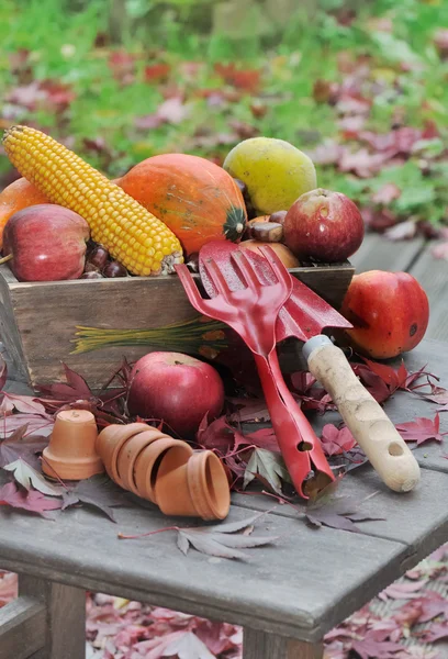 Ovoce a zelenina s nástroji — Stock fotografie